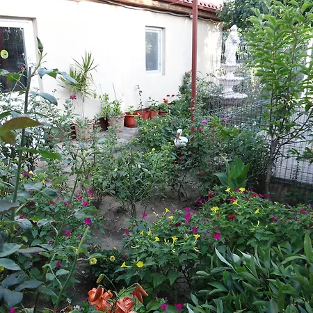 Maria-antonia 만갈리아